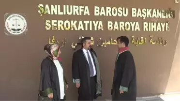 Avukat 3 kardeş adliye koridorlarında adaleti savunuyor