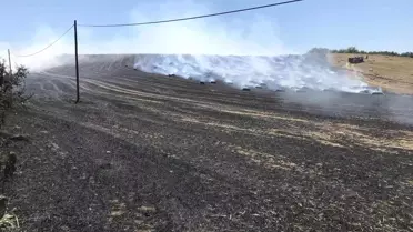 Tekirdağ'da 40 dekar tarla yandı