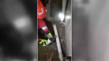 Muğla'da yağmur suyu borusunda mahsur kalan yavru kedi kurtarıldı