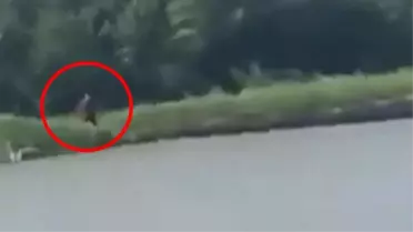 Yarı insan yarı hayvan! Bu görüntü ABD'de günün konusu oldu
