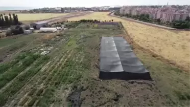 Van Gölü Havzası'nın yerel buğday çeşitleri koruma altına alındı