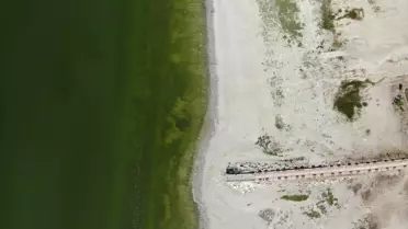 Burdur Gölü'nde alg patlaması endişeye neden oldu