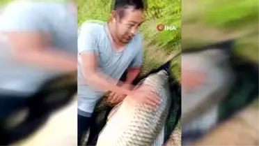 Ömerli Barajı'nda oltaya takılan dev sazan balığı görenleri şaşırttı