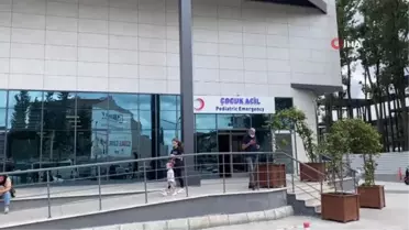 Korkunç olay: Sokak köpeğini vurmak isterken 3 çocuğu vurdu