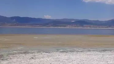 Burdur Gölü'nde Alg Patlaması