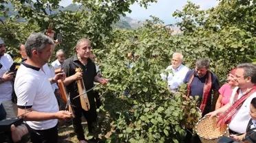 Giresun'da 'Fındık Hasat Şenliği' yapıldı