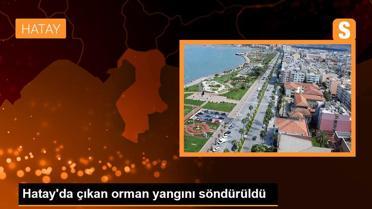 Hatay'da çıkan orman yangını söndürüldü
