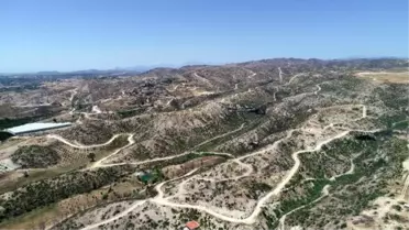 Manavgat'ta yanan alanlarda yaban hayatı yeniden canlanıyor