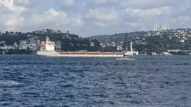 Ukrayna'dan gelen mısır yüklü 'Polarnet' gemisi İstanbul Boğazı'ndan geçti