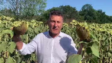Orhan Sarıbal: 'Tahıl Koridoruyla Türkiye'ye Getirilen Ayçiçeği Tohumu, Büyük Uluslararası Şirketlerin… Ne Ukrayna Çiftçisinin, Ne Rusya Çiftçisinin'