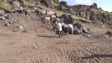 Muş'ta çıkarılan 'kevke taşı' çevre illere gönderiliyor