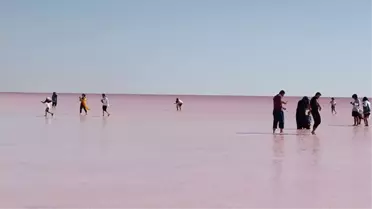 Tuz Gölü'nü alg ve bakteriler sardı! Gölün pembeye dönmesinin nedeni belli oldu