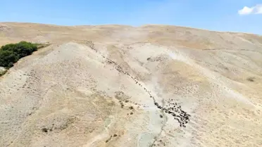 Muş'ta yayla dönemini tamamlayan besiciler dönüşe geçti