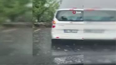 Başkent'te etkili olan fırtına bir ağacı yerinden söktü