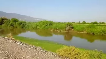 Atla girdiği nehirde kayboldu, aramalardan sonuç alınamadı