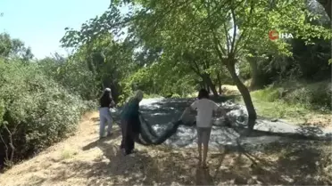 Gelin kaynana pekmez üretip satıyor