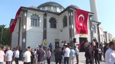 Tarım ve Orman Bakanı Kirişci, İzmir'de badem hasadına katıldı