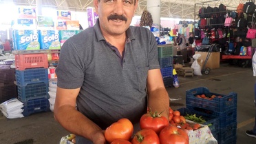 Organik domateslerin büyüklüğünü gören bir daha bakıyor