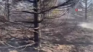 Elazığ'da orman yangını