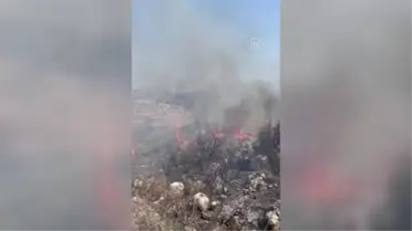 Hatay'da makilik alanda çıkan yangın söndürüldü