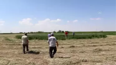 Konya'da yonca tarlasında obruk oluştu