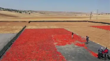 Şanlıurfa'nın tescilli isotu tezgahlarda yerini almaya başladı