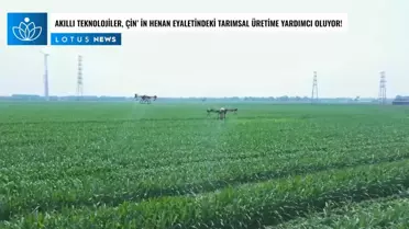 Video: Akıllı Teknolojiler, Çin'in Henan Eyaletindeki Tarımsal Üretime Yardımcı Oluyor
