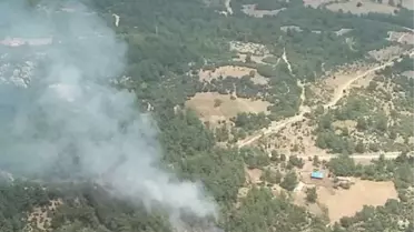 Balıkesir'deki çifte orman yangını söndürüldü