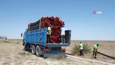 Tuz Gölü'ne taşınan sular, flamingo ölümlerini önledi