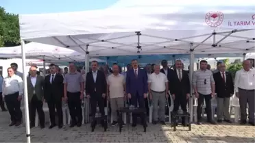 Çorum'da bal hasadı şenliği düzenlendi