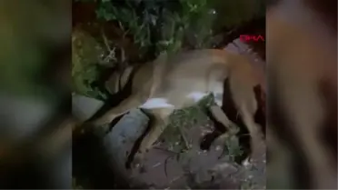 'HAVRİTA'YA BU KEZ 'EKSTRA TEHLİKE'DEN ERİŞİM ENGELİ