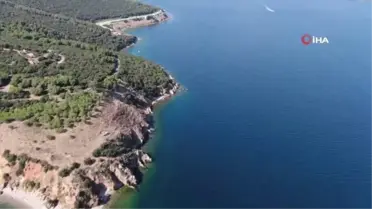 Büyükada'da 'dalyan' dolandırıcılığı