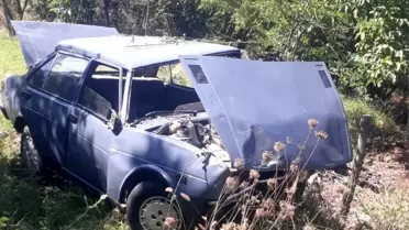 Ağaçlık alana uçan otomobilin sürücüsü yaralandı