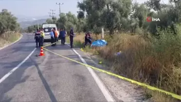 Akşam evine dönmedi, yol kenarında ölü olarak bulundu