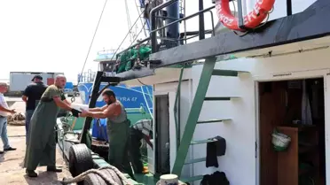 Karadeniz'de tekneler kasa kasa balıkla döndü