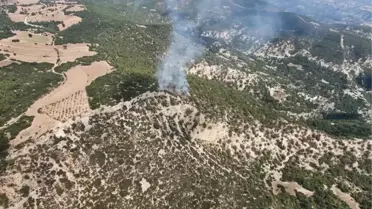 Manisa'da 10 dönüm orman yandı