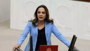 Gamze Akkuş İlgezdi: 'Profesör Şenol, Sadece Kendi Aldığı Yöntemlerle Mi, Yoksa Emniyet Güçleri Tarafından mı Korunmaktadır?