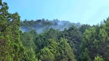 Isparta'da çıkan orman yangını kontrol altına alındı