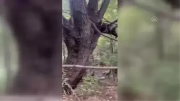 Malatya'da kaybolan çocuk yaklaşık 40 saatlik aramanın ardından bulundu