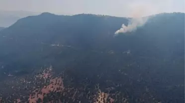 Isparta'daki orman yangını 4 saatte söndürüldü