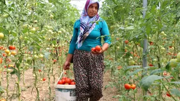 Kadın girişimci, devlet desteğiyle kurduğu serayla aile bütçesine katkı sağlıyor