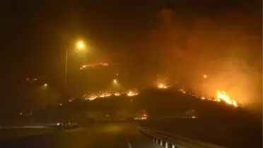 Mersin'de orman yangını; 110 hane tahliye edildi (7)