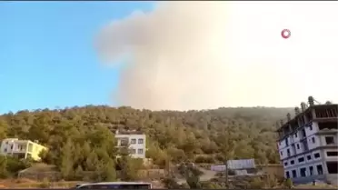 Mersin'de orman yangını: Havadan ve karadan müdahale için ekipler harekete geçti