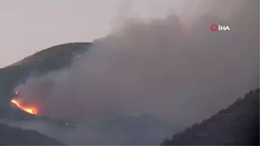Mersin'deki orman yangını devam ediyor