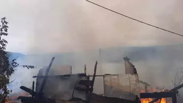 Sinop'ta köyde çıkan yangında 5 ev kullanılamaz hale geldi