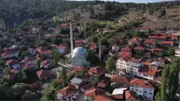 Balıkesir'de ekim alanı artan badalan fasulyesi 4 mahallenin geçim kaynağı oldu