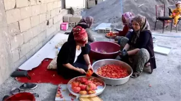 Hakkari'de kadınların salça mesaisi sürüyor