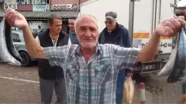Zonguldak'ta palamut bolluğu fiyatlara yansıdı