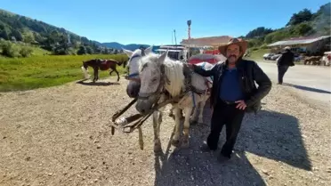 Milli parktan uzaklaşan faytoncular: İş yapamıyoruz