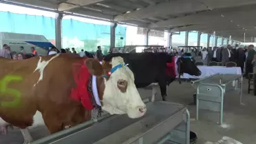 Tarım Fuarı Düzenleyen Gölbaşı Belediye Belediye Başkanı Şimşek : 'Üretici Elini Taşın Altına Koyacak, Her Şeyi Devletten Beklemek Olmaz'